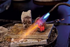 Tony the Dinosaur featured image